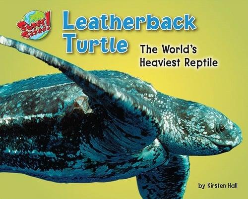 Leatherback Turtle: The World's Heaviest Reptile (Super Sized!)