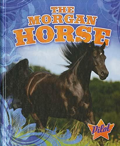 The Morgan Horse (Pilot, Horse Breed Roundup)