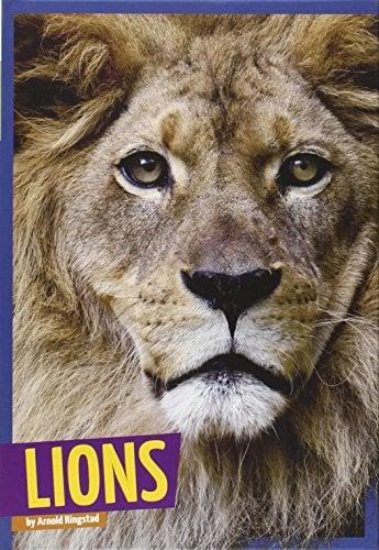 Lions (Wild Cats, Amicus High Interest)