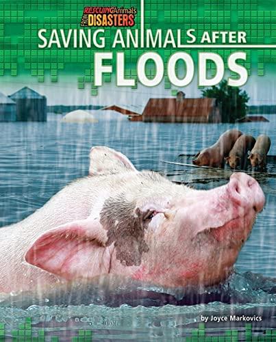 Saving Animals After Floods (Rescuing Animals From Disasters)
