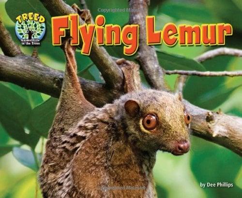 Flying Lemur (Treed: Animal Life in the Trees)