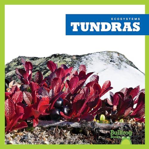 Tundras (Bullfrog Books, Ecosystems)