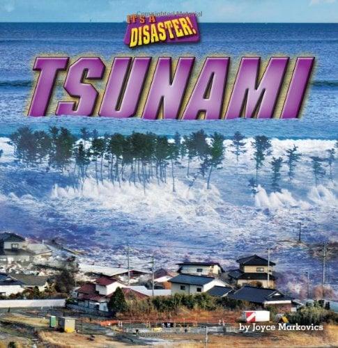 Tsunami (It's a Disaster, Little Bits! Readers)