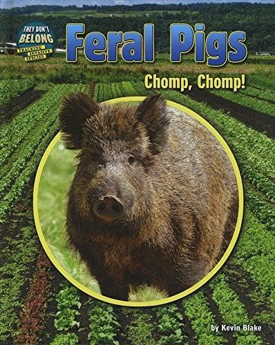 Feral Pigs: Chomp, Chomp! (They Don't Belong: Tracking Invasive Species)