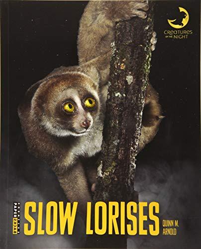 Slow Lorises (Creatures of the Night)