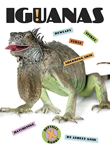 Iguanas (X-Books: Reptiles)