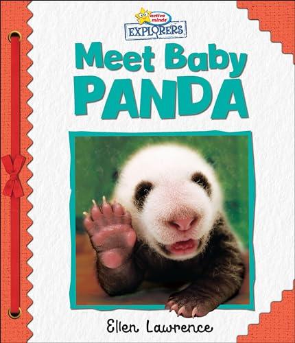 Meet Baby Panda (Active Minds Explorers)