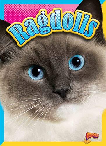 Ragdolls (Cat Stats)