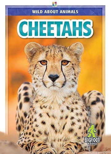 Cheetahs (Wild About Animals)
