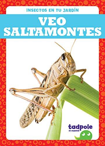 Veo Saltamontes (Tadpole, Insectos En Tu Jardin)