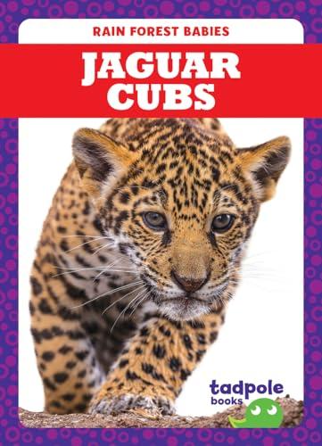 Jaguar Cubs (Tadpole Books, Rain Forest Babies)