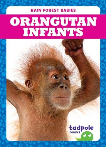 Orangutan Infants (Tadpole Books, Rain Forest Babies)