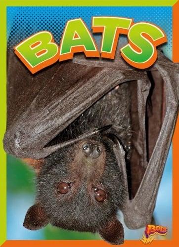 Bats (Wild Animal Kingdom)