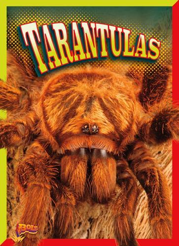 Tarantulas (Crawly Creatures)