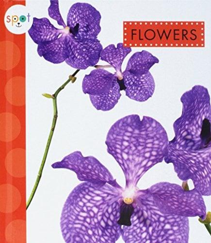 Flowers (Spot Awesome Nature)