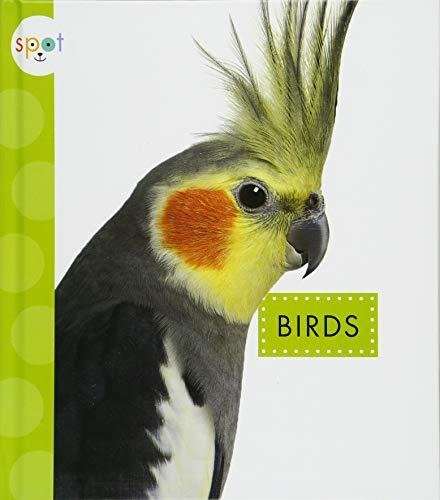 Birds (Spot Pets)