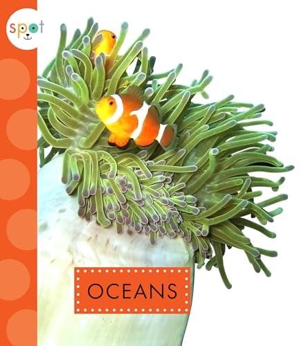 Oceans (Spot Awesome Nature)