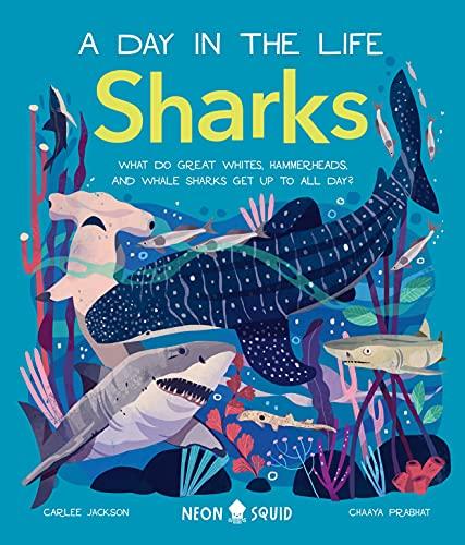 Sharks (A Day in the Life...)