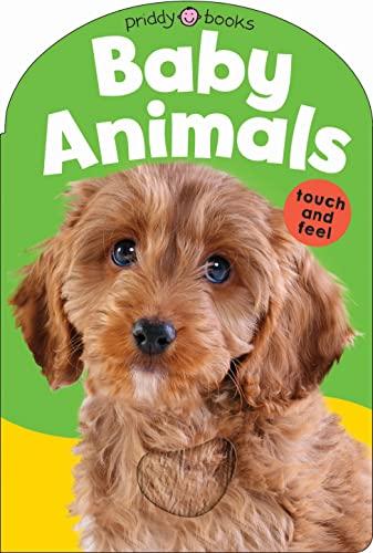 Baby Animals Touch and Feel