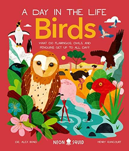 Birds: What Do Flamingos, Owls, and Penguins Get Up to All Day? (A Day in the Life)