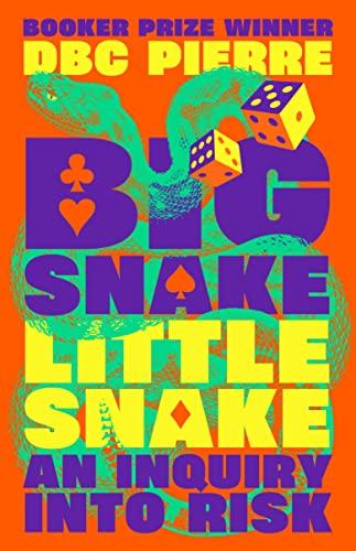 Big Snake Little Snake: An Inquiry Into Risk
