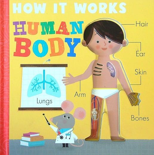 Human Body (How It Works)