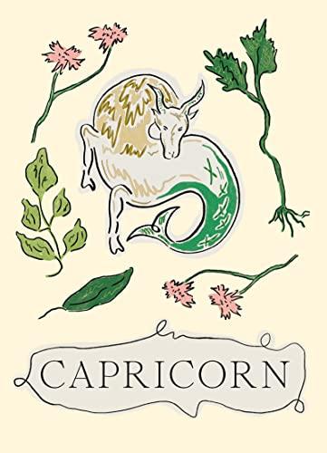 Capricorn (Planet Zodiac)