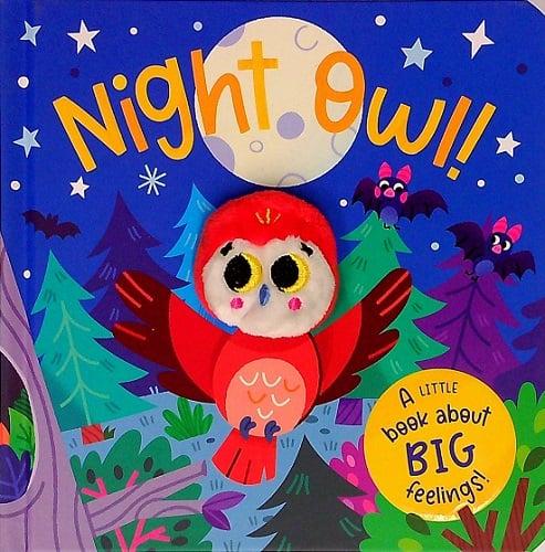 Night Owl! (A Little Book About Big Feelings!)