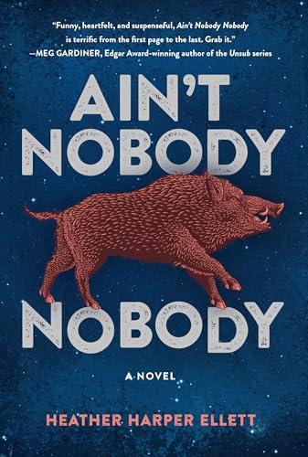 Ain't Nobody Nobody