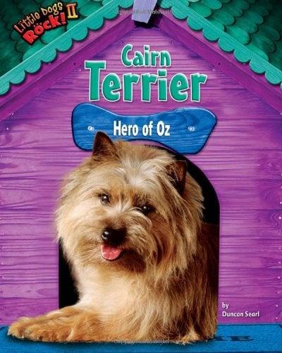 Cairn Terrier: Hero of Oz (Little Dogs Rock! II)
