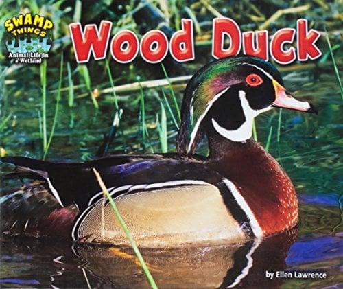 Wood Duck (Swamp Things: Animal Life in a Wetland)