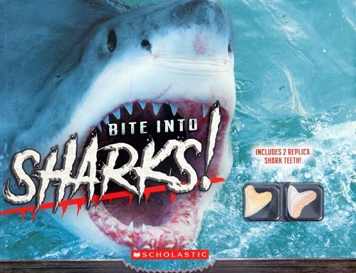 Bite Into Sharks!